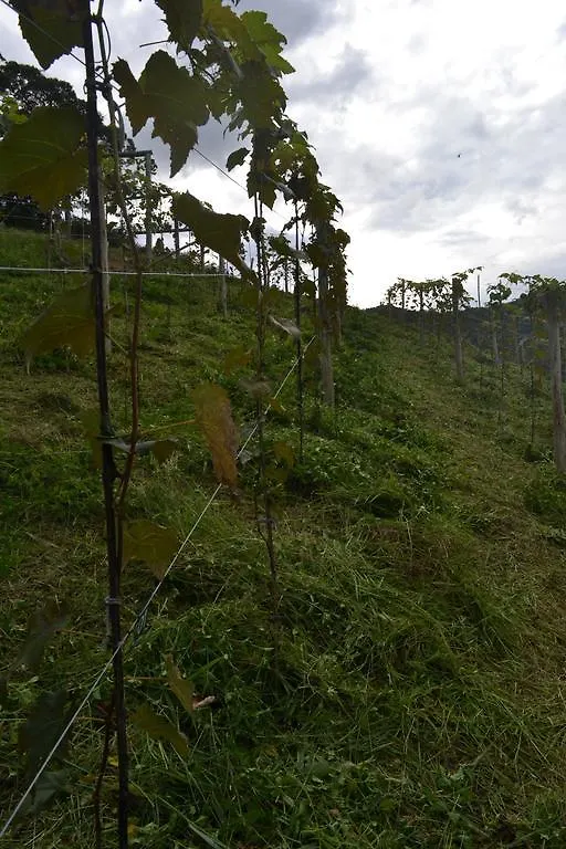 Pousada Rio Da Prata Blumenau Hétvégi ház